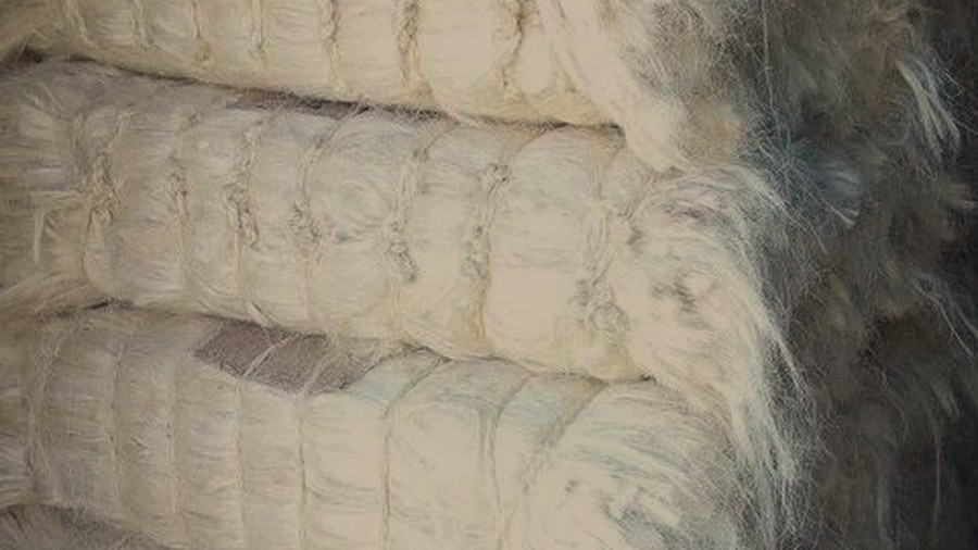 Sisal TOW 2